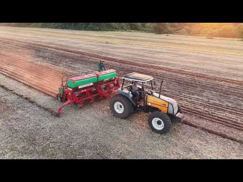 Plantio de milho, Atalaia-PR 2026. DJI Mini 5 Pro.