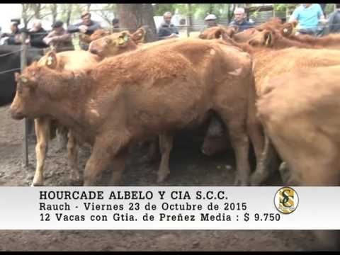 23-10-15 Venta de Vientres - Hourcade, Albelo y Cia S.C.C. - Rauch.