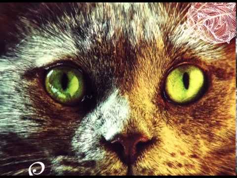 Technasia - I Am Somebody (Original Mix)