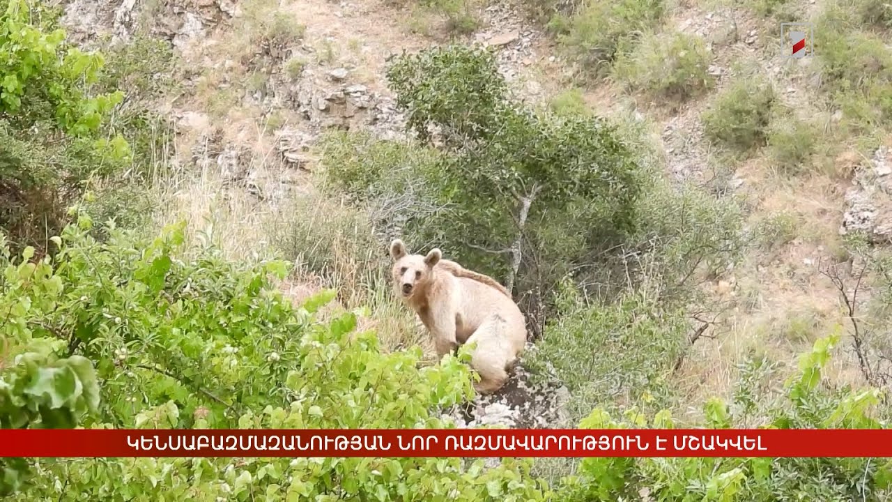 Կենսաբազմազանության նոր ռազմավարություն է մշակվել