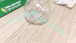 ねむるの ごろごろボール