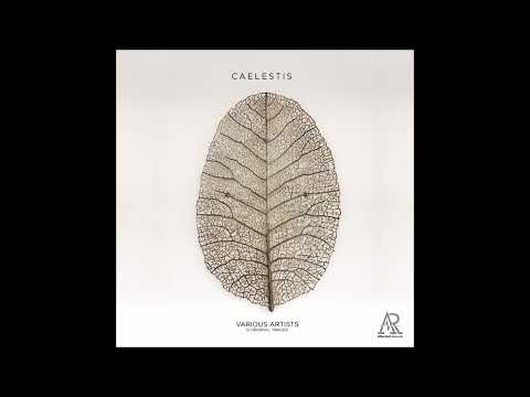 PREMIERE: Dabeat, Kamilo Sanclemente - Hypnotizing (Original Mix) [Aftertech Records]