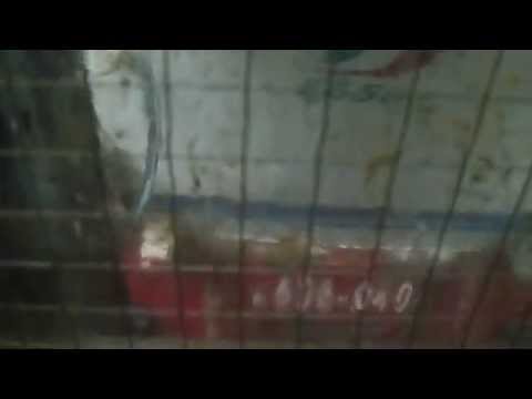 E656.040 in sforzo di trazione sull' IC 505 da Roma Ostiense a Roma Termini!