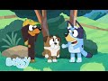 Going To School With Bluey Bluey