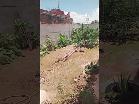 Piuma Espírito Santo