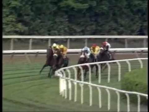 Lure -vs- Paradise Creek - 1994 Bernard Baruch Handicap