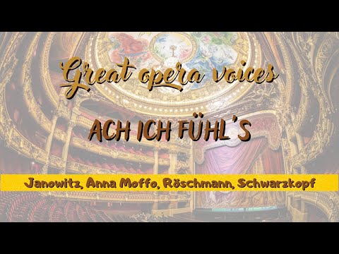 Ach, ich fühl's Great versions Die Zauberflöte W.A. Mozart