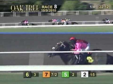 2010 Ancient Title Stakes