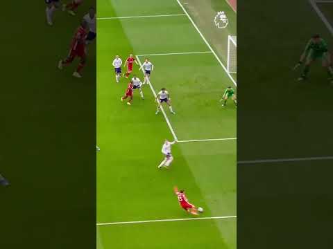 Argentina goalkeeper Emiliano Martinez Boss👑 #argentina #goalkeeper #emilianomartínez #fifa23