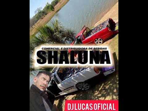 - 19 CD SHALUNA BEBIDA GELADA - DJ LUCAS OFICIAL