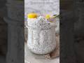Gut Healthy Coconut Chia Seed Pudding Recipe