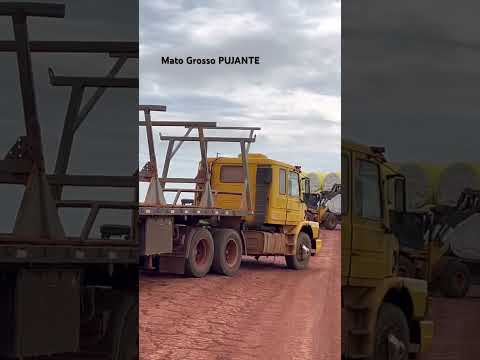 Mato Grosso Pujante - Campo Novo a Sapezal 💪🏽💪🏽💪🏽 #caminhoneiro