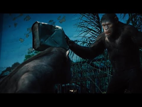 Rise of the Planet of the Apes (2011) - Caesar Releases Buck and Rocket Surrenders Movie Clip [HD]