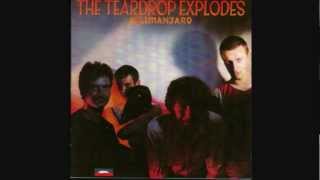 The Teardrop Explodes - Ha Ha I'm Drowning