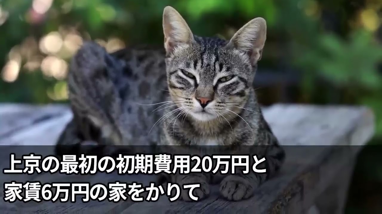 感動総集編CF 1457