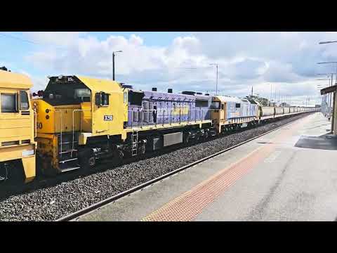 Pacific National 8135 X50 8178 7CM6 Grain train North Shore