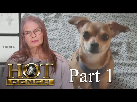 Bambi's Big Bill?! | Part 1