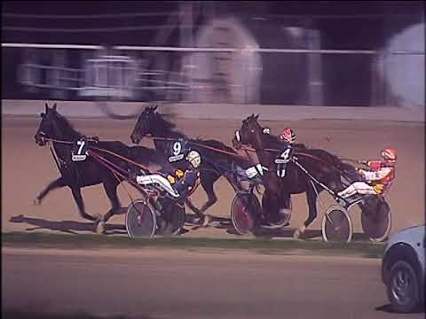 Trotto 08/12/2019 - 7ª corsa