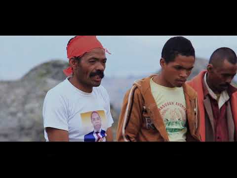 TozziGreen Ankaterena vo P A D