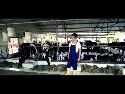 Muốn yêu em như ngày xưa - Lý Hải