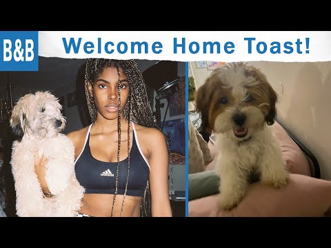 Bold and The Beautiful: Welcoming A New Member In Diamond White's Life.