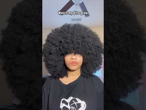 Watch my afro grow (hair stretching) #afro #afrohair #naturalhair