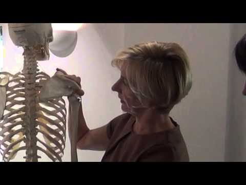 Sussex Beauty Training