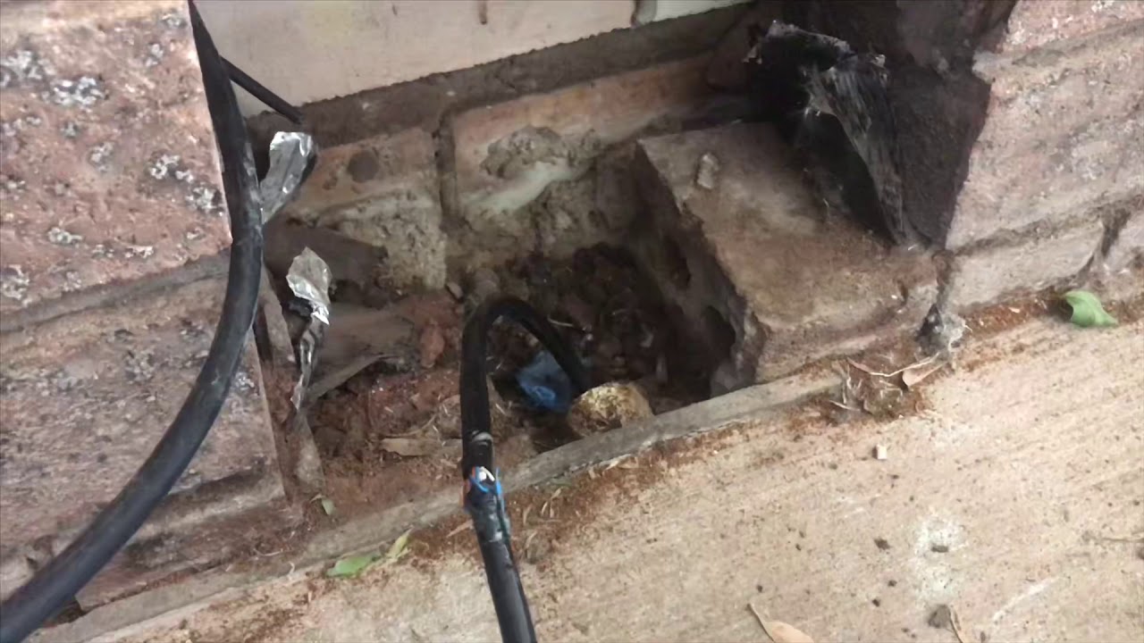 Open Registered Cabler hauling 30-pair copper cable between pits at a Sutherland Shire netball facility — installing new IDF in stadium building and terminating at MDF in main office