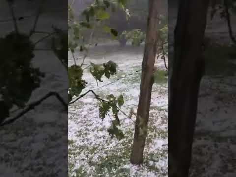 aconteceu hoje  em Mato rico Paraná