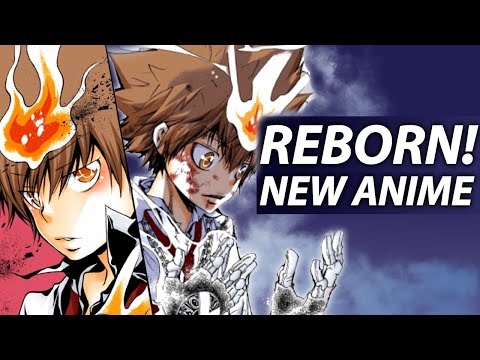 NEW REBORN 2025 ANIME CONTINUATION!? | Future of Katekyo Hitman REBORN!