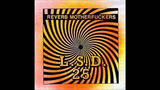 Reverb Motherfuckers ‎– L.S.D. 25