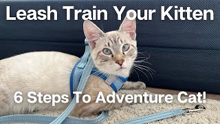 HOW TO LEASH TRAIN YOUR KITTEN IN 6 SIMPLE STEPS: Adventure Cat Advice For Beginners | Loki & Elena