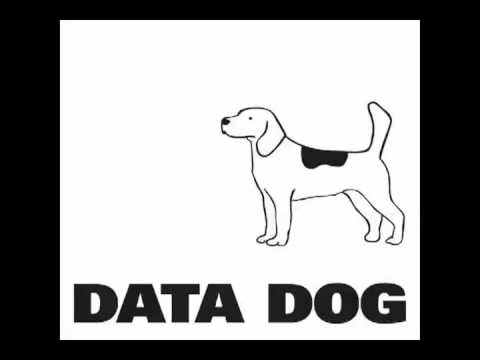 Data Dog - Thems The Rules