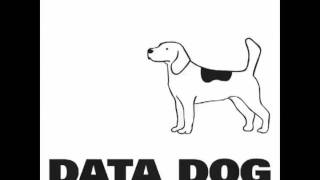 Data Dog - Thems The Rules