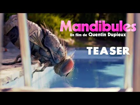 Mandibules | Official Teaser Trailer | HD | 2020 | Comedy-Fantasy