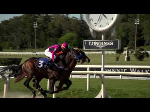 211016 c04 JUSTICEFORALL (ARG)