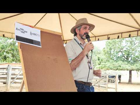 Produtores rurais se reúnem em Lavandeira para Dia de Campo focado em inovação e pecuária leiteira