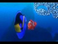 Finding Nemo School Of Fish