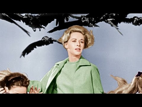 172 /200 - Scene indimenticabili 3 - GLI UCCELLI (1963) di Alfred Hitchcock