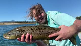 Oregon Fly Fishing: Chasing Steelhead & Big Brown Trout