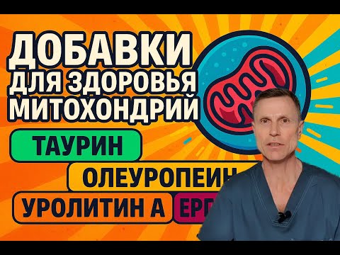 Главный фактор здоровья - состояние ваших митохондрий. Самые эффективные добавки. Главный фактор здоровья - состояние ваших митохондрий. Самые эффективные добавки.