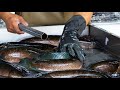 Thai Food HUGE SNAKE HEAD FISH SOUP Aoywaan Bangkok Seafood Thailand