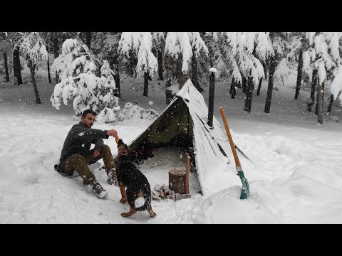 Gefangen in einem Sturm - Wintercamping In einem Schneesturm mit meinem Hund - Bushcraft-Trip