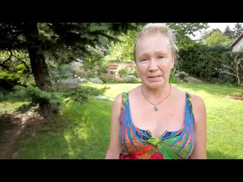 Nyelvparádé 2016 - Udvaros Dorottya a nyelvtanulásról