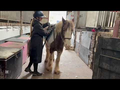 *** One in A Million Allrounder *** - Image 2