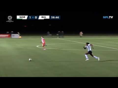 NPL NSW Women's Round 21 Highlights – Northern Tigers v Bulls FC Academy
