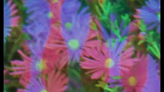 Demo Taped - Game On [official video]