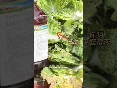 ‘Formaldehyde cabbages’ trigger outrage in China