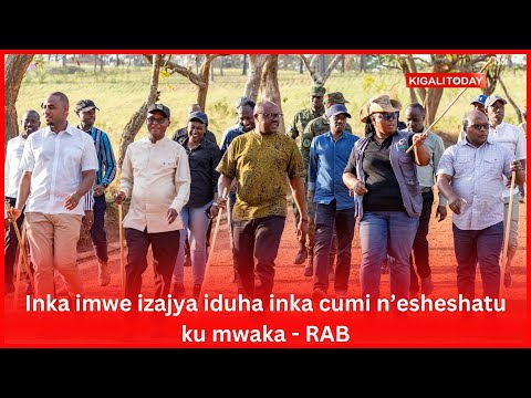Inka imwe izajya iduha inka cumi n'esheshatu ku mwaka - RAB