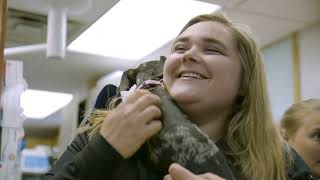 A look into the team of Catskill Vet Services